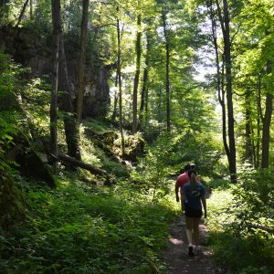 Nature Trails